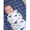 imageGerber Baby Unisex 2Pack Muslin Blanket Celestial One SizeCoastal Calm