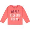 imageGerber Baby Girls Toddler 2Piece LongSleeve Tee ampamp Pleated Skirt SetApple Picking Pink Plaid