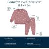 imageGerber Baby Girls Toddler 2piece Fleece Sweatshirt and Jogger SetBirds