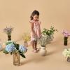 imageModern Moments by Gerber Baby Girls Smocked Ruffle DressRose Wild Flowers