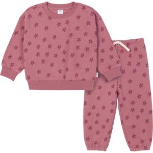 imageGerber Baby Girls Toddler 2piece Fleece Sweatshirt and Jogger SetDaisies