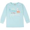 imageGerber Baby Girls Toddler Snug Fit 4Piece Pajama SetLittle Llama Pink