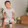 imageGerber babyboys Toddler Tshirt and Shorts SetHeather Skateboard