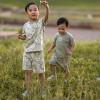 imageGerber babyboys Tshirt and Shorts SetPalms