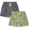 imageGerber Baby Boys Toddler 2Pack Swim TrunksPalm Tree