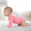 image5Pack Baby Girls Fox Long Sleeve Onesies Bodysuits