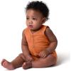 imageGerber Baby Boys 2Pack Short Leg RomperHeather and Rust