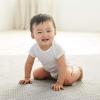 imageGerber babyboys 5 Pack Onesies Multipacks Bundle Interlock 180 GsmWhite
