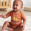 imageGerber babygirls 5pack Short Sleeve Variety Onesies BodysuitsSouthwest