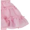 imageGerber babygirls Bodysuit With Tutu SkirtCasual DressTutu Cute