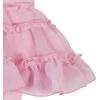 imageGerber babygirls Bodysuit With Tutu SkirtCasual DressTutu Cute