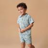 imageModern Moments by Gerber Baby Boys 2piece Resort Shirt ampamp Short SetBlue