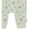 imageGerber babygirls Baby Girls Ruffleedge RomperGreen Pears