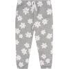 imageGerber Baby Girls Toddler 2piece Fleece Sweatshirt and Jogger SetBig Daisies